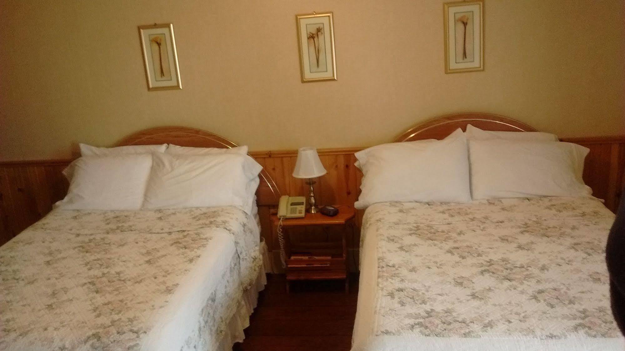 Mackenzie Motel & Cottages Shelburne Εξωτερικό φωτογραφία